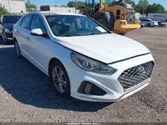5NPE34AF6KH751293 2019 HYUNDAI SONATA