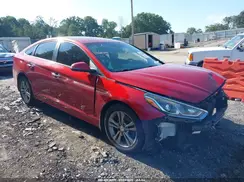 5NPE34AF6KH753450 2019 HYUNDAI SONATA