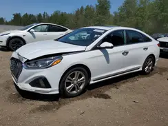 5NPE34AF6KH755943 2019 HYUNDAI SONATA