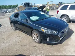5NPE34AF6KH763752 2019 HYUNDAI SONATA