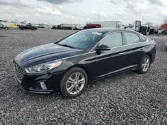 5NPE34AF6KH767123 2019 HYUNDAI SONATA