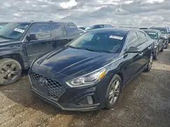 5NPE34AF6KH771107 2019 HYUNDAI SONATA