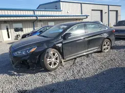 5NPE34AF6KH774654 2019 HYUNDAI SONATA