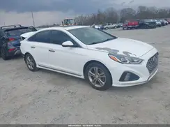 5NPE34AF6KH775819 2019 HYUNDAI SONATA