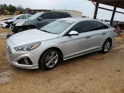 5NPE34AF6KH776808 2019 HYUNDAI SONATA