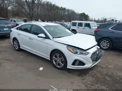 5NPE34AF6KH779224 2019 HYUNDAI SONATA