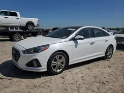 5NPE34AF6KH779417 2019 HYUNDAI SONATA
