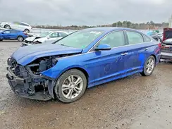 5NPE34AF6KH784374 2019 HYUNDAI SONATA