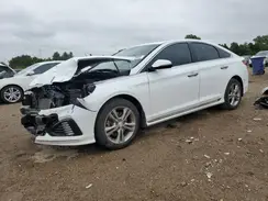 5NPE34AF6KH785251 2019 HYUNDAI SONATA