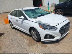5NPE34AF6KH788358 2019 HYUNDAI SONATA