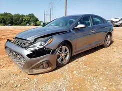 5NPE34AF6KH790322 2019 HYUNDAI SONATA