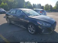 5NPE34AF6KH794936 2019 HYUNDAI SONATA