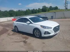 5NPE34AF6KH796671 2019 HYUNDAI SONATA