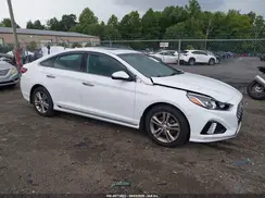 5NPE34AF6KH801075 2019 HYUNDAI SONATA