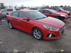 5NPE34AF6KH802601 2019 HYUNDAI SONATA