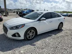 5NPE34AF6KH803618 2019 HYUNDAI SONATA