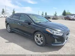 5NPE34AF6KH812304 2019 HYUNDAI SONATA