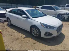 5NPE34AF6KH814148 2019 HYUNDAI SONATA