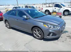 5NPE34AF6KH815722 2019 HYUNDAI SONATA