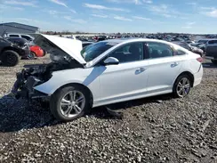 5NPE34AF6KH820712 2019 HYUNDAI SONATA