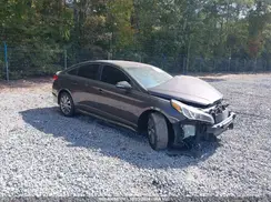 5NPE34AF7GH271528 2016 HYUNDAI SONATA