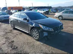 5NPE34AF7GH273098 2016 HYUNDAI SONATA
