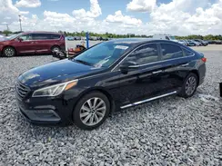 5NPE34AF7GH300008 2016 HYUNDAI SONATA
