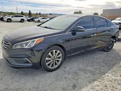 5NPE34AF7GH351704 2016 HYUNDAI SONATA