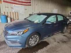 5NPE34AF7GH362444 2016 HYUNDAI SONATA