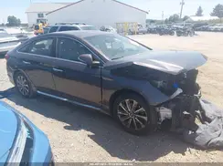 5NPE34AF7GH374805 2016 HYUNDAI SONATA