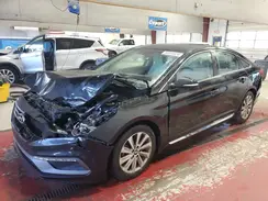 5NPE34AF7GH407351 2016 HYUNDAI SONATA