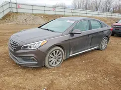 5NPE34AF7GH432315 2016 HYUNDAI SONATA