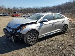 5NPE34AF7GH436347 2016 HYUNDAI SONATA