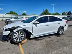 5NPE34AF7HH437791 2017 HYUNDAI SONATA