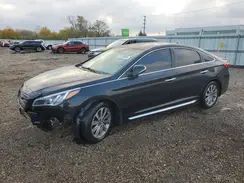 5NPE34AF7HH446572 2017 HYUNDAI SONATA