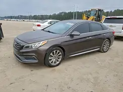 5NPE34AF7HH446782 2017 HYUNDAI SONATA