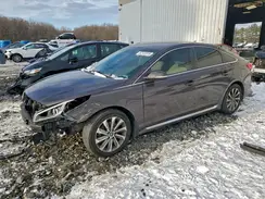 5NPE34AF7HH451268 2017 HYUNDAI SONATA