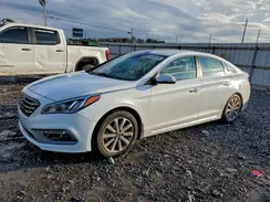 5NPE34AF7HH477353 2017 HYUNDAI SONATA