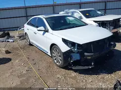 5NPE34AF7HH480351 2017 HYUNDAI SONATA
