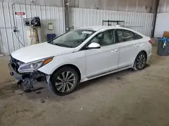 5NPE34AF7HH497876 2017 HYUNDAI SONATA