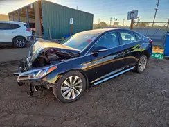 5NPE34AF7HH501036 2017 HYUNDAI SONATA