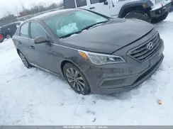 5NPE34AF7HH521352 2017 HYUNDAI SONATA