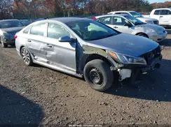 5NPE34AF7HH556196 2017 HYUNDAI SONATA