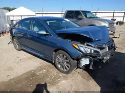 5NPE34AF7HH565187 2017 HYUNDAI SONATA