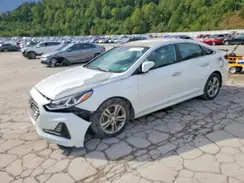 5NPE34AF7JH684542 2018 HYUNDAI SONATA