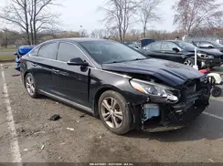 5NPE34AF7KH729514 2019 HYUNDAI SONATA