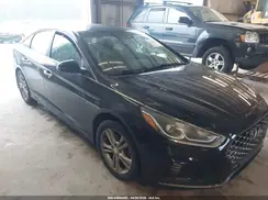5NPE34AF7KH731506 2019 HYUNDAI SONATA