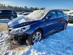 5NPE34AF7KH731795 2019 HYUNDAI SONATA