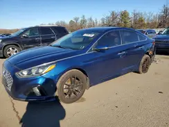 5NPE34AF7KH734843 2019 HYUNDAI SONATA