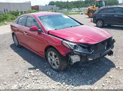 5NPE34AF7KH737290 2019 HYUNDAI SONATA